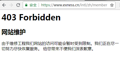 exness官网 403 Forbidden 不能访问